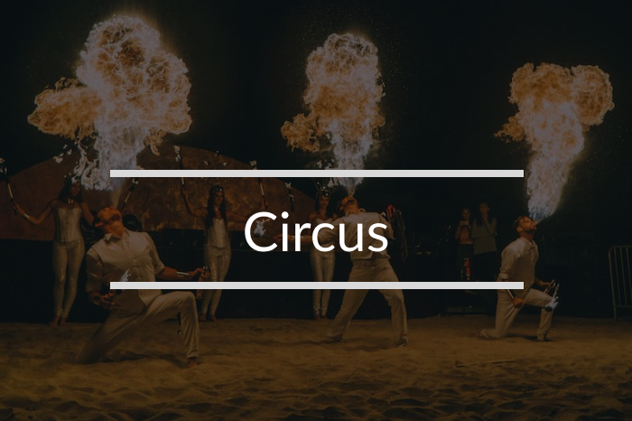 Circus, cirku, numra me cirk